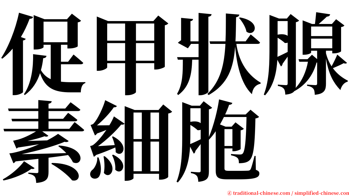 促甲狀腺素細胞 serif font