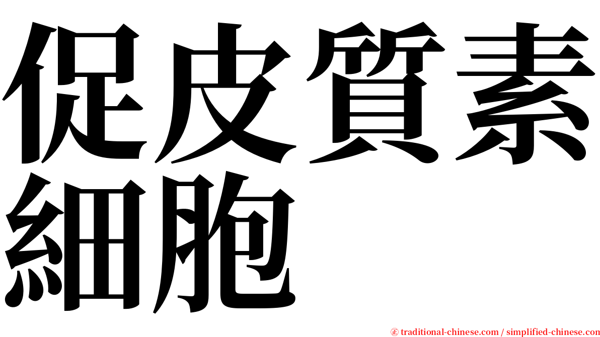 促皮質素細胞 serif font