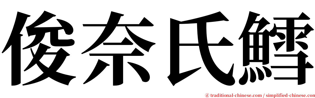 俊奈氏鱈 serif font