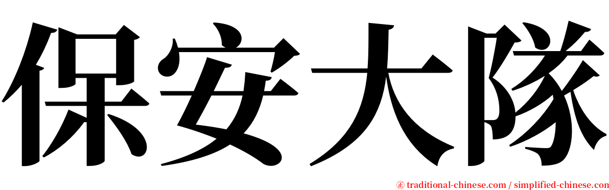 保安大隊 serif font