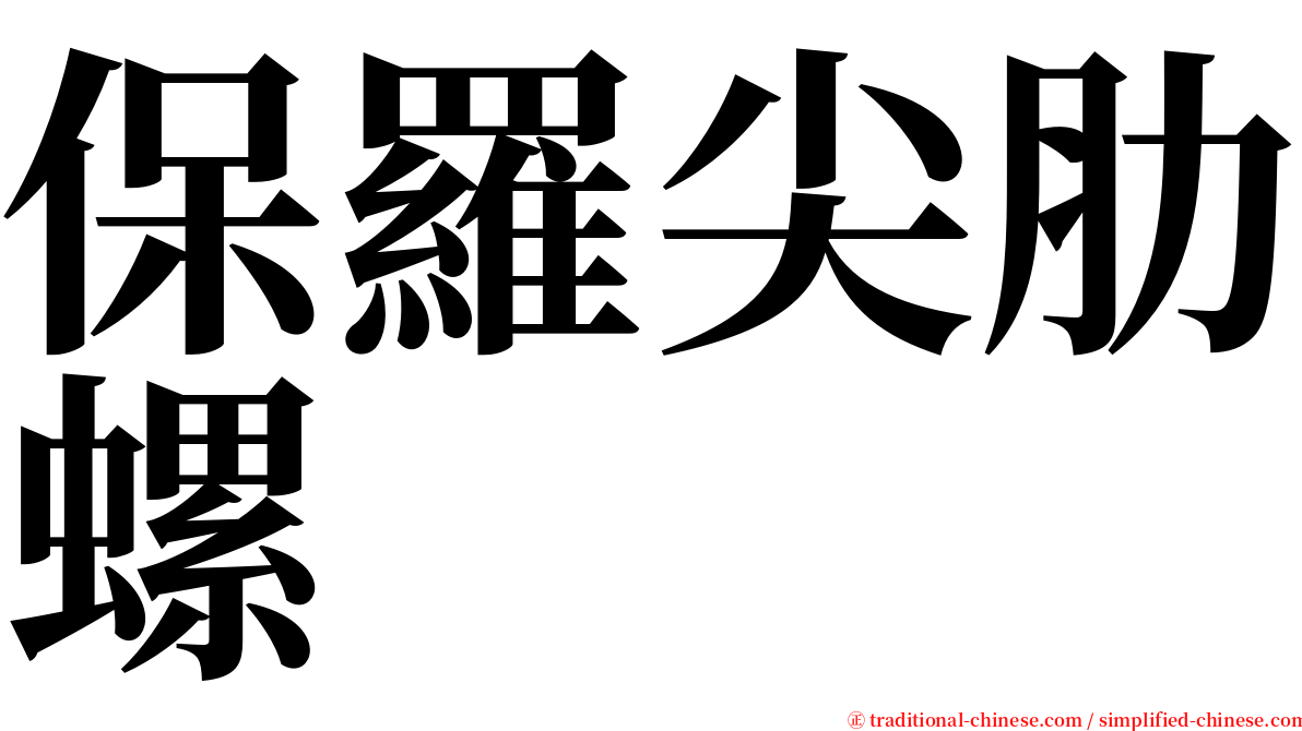 保羅尖肋螺 serif font