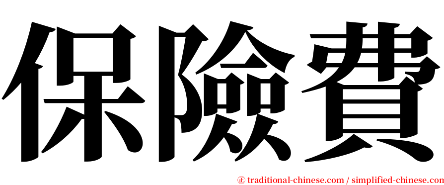 保險費 serif font