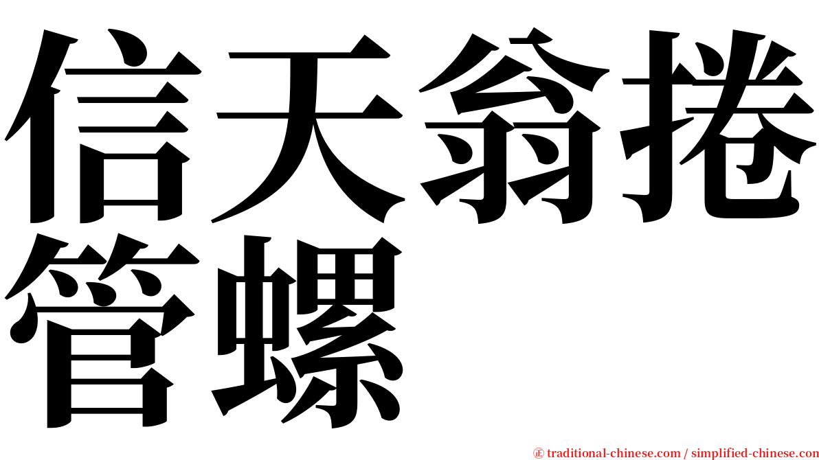 信天翁捲管螺 serif font