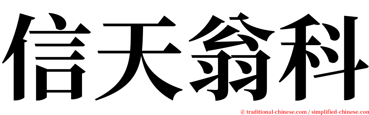 信天翁科 serif font