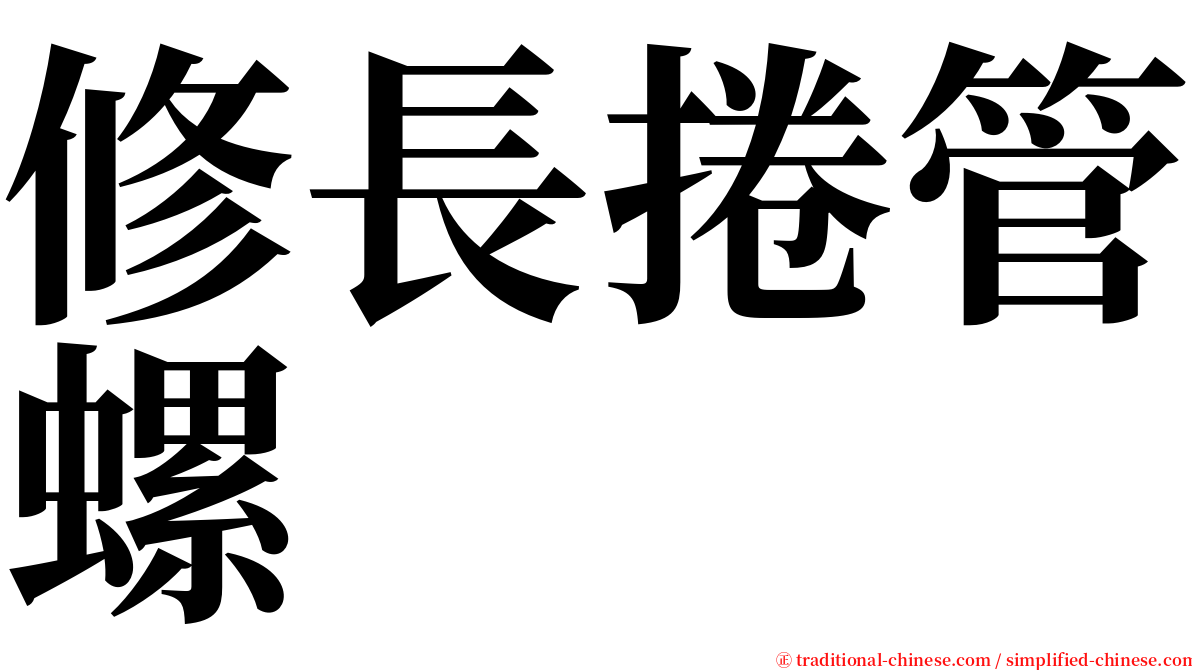 修長捲管螺 serif font