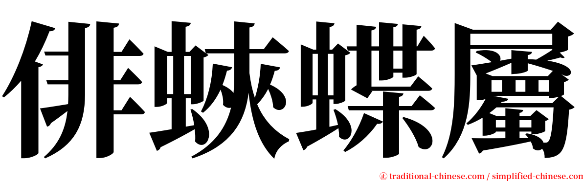 俳蛺蝶屬 serif font