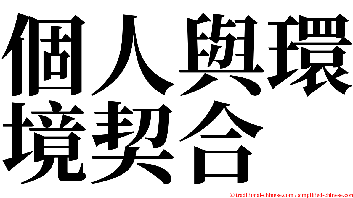 個人與環境契合 serif font