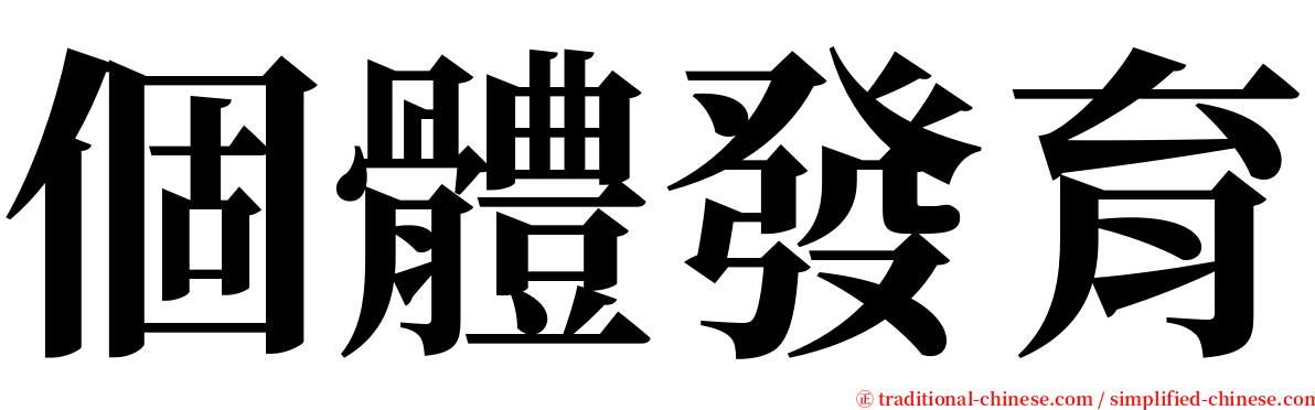 個體發育 serif font