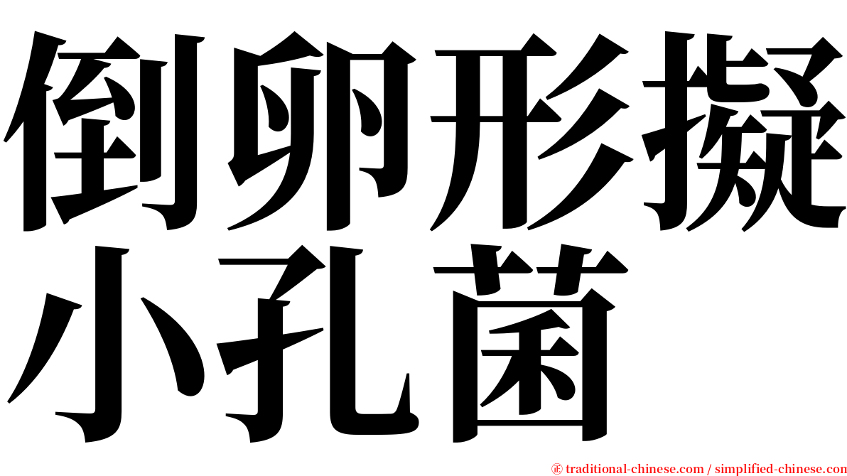 倒卵形擬小孔菌 serif font