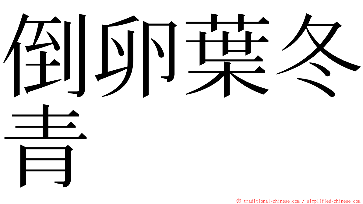 倒卵葉冬青 ming font