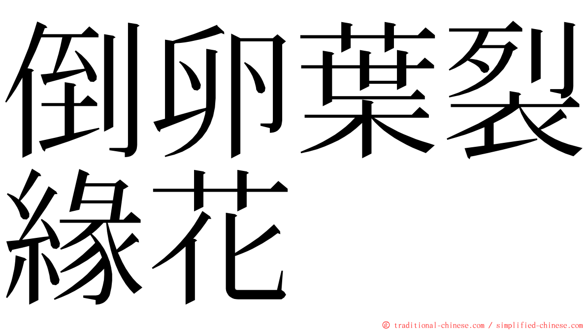 倒卵葉裂緣花 ming font