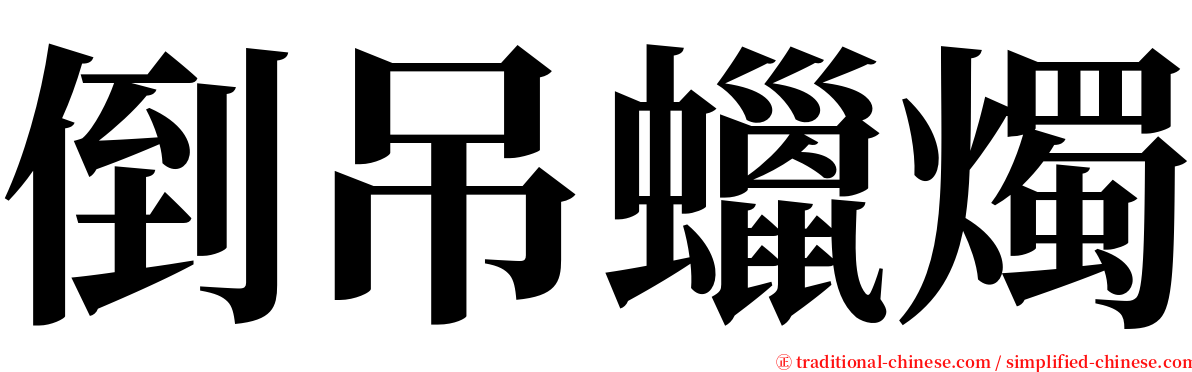 倒吊蠟燭 serif font