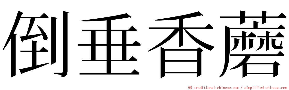 倒垂香蘑 ming font