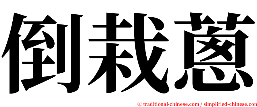 倒栽蔥 serif font