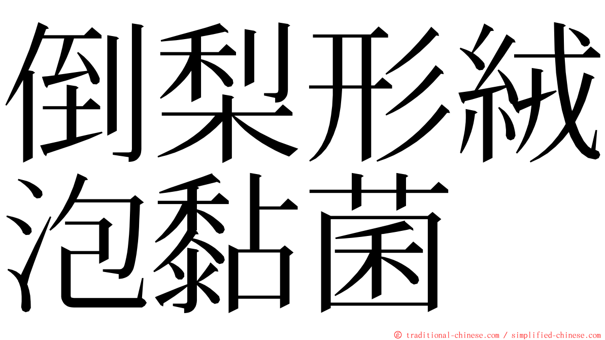 倒梨形絨泡黏菌 ming font