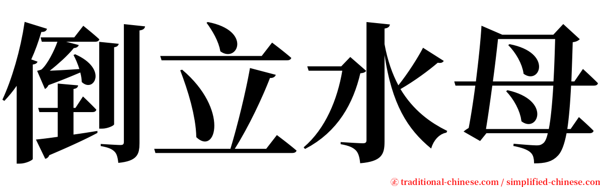 倒立水母 serif font