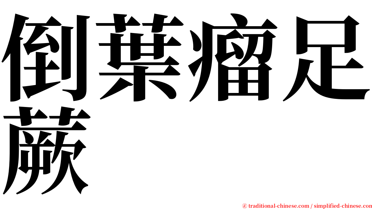 倒葉瘤足蕨 serif font