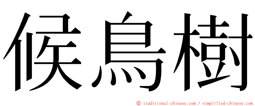 候鳥樹 ming font