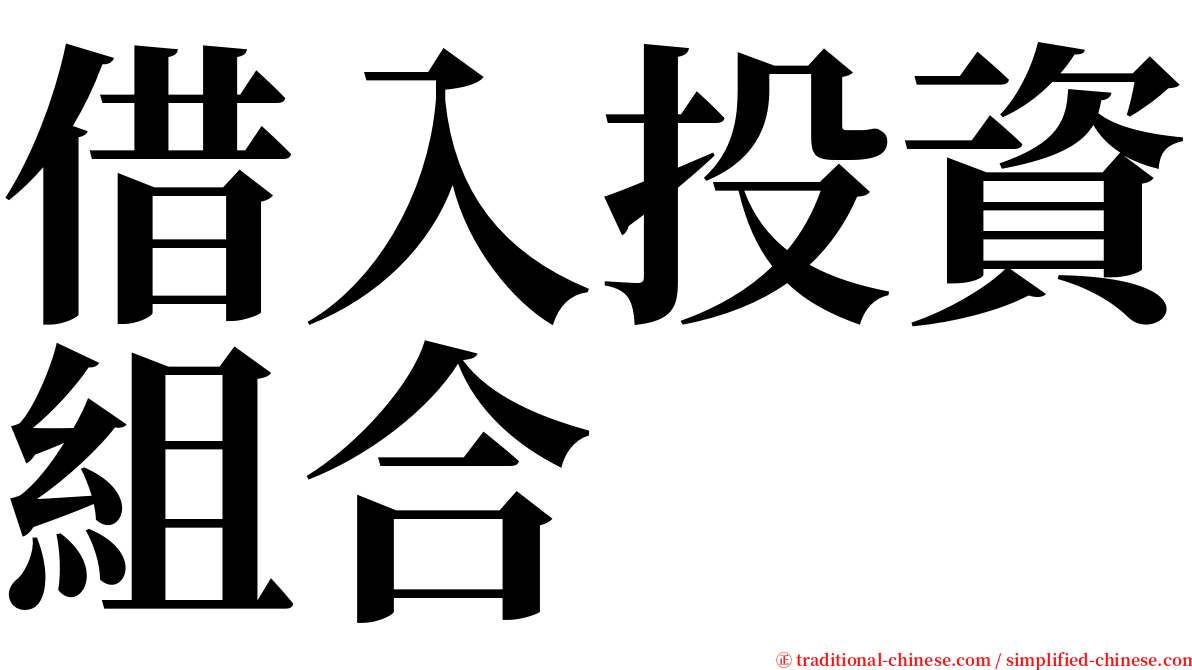 借入投資組合 serif font