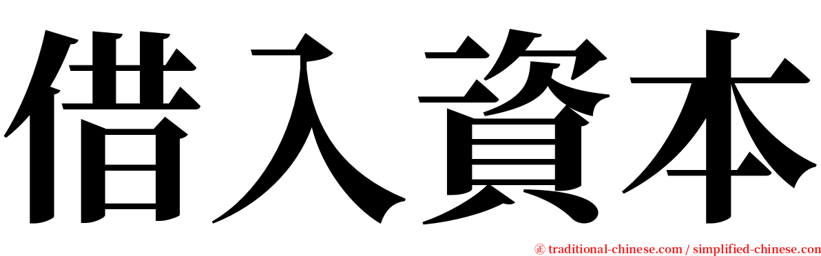 借入資本 serif font