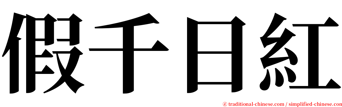 假千日紅 serif font