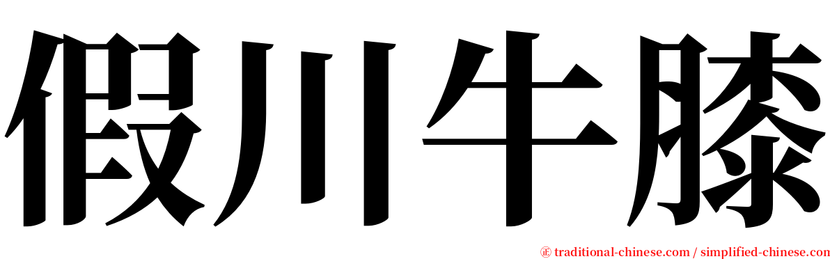 假川牛膝 serif font