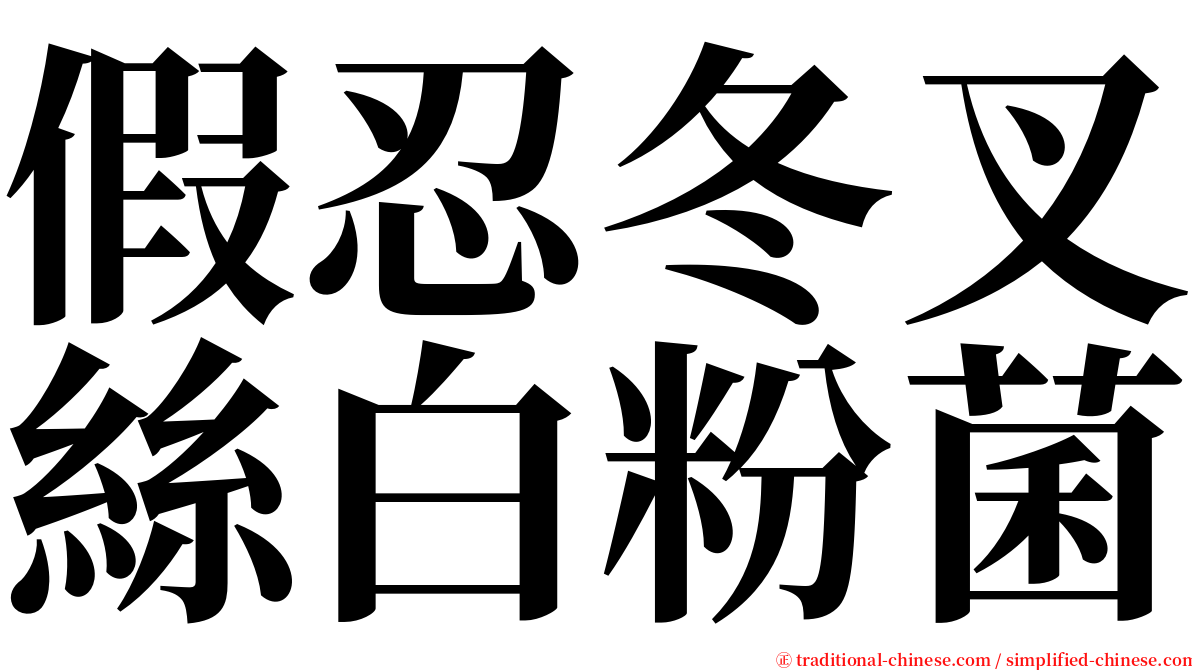 假忍冬叉絲白粉菌 serif font