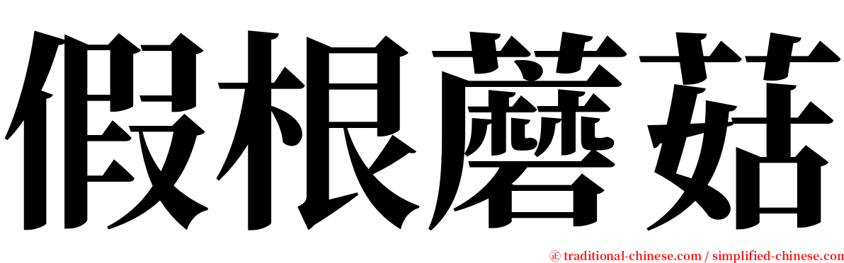 假根蘑菇 serif font