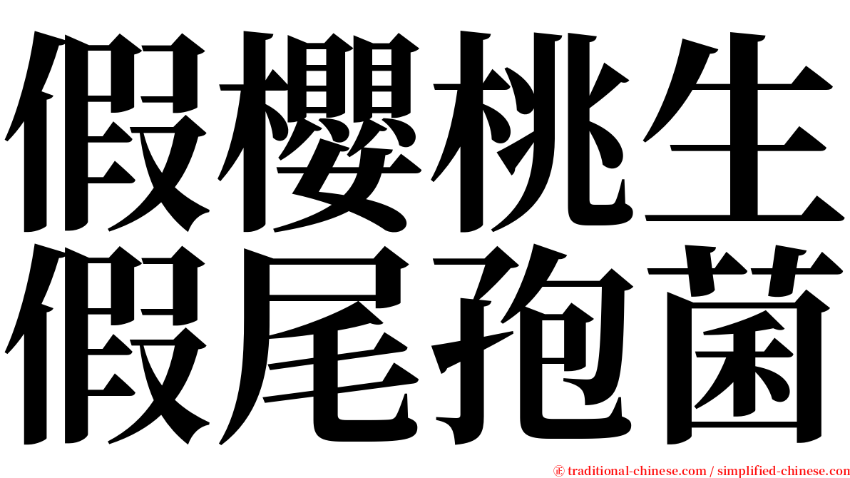 假櫻桃生假尾孢菌 serif font