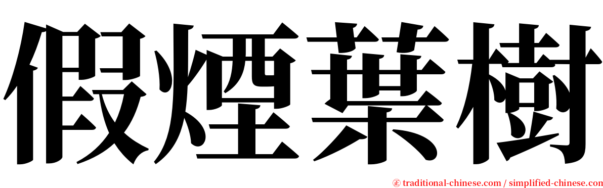 假煙葉樹 serif font