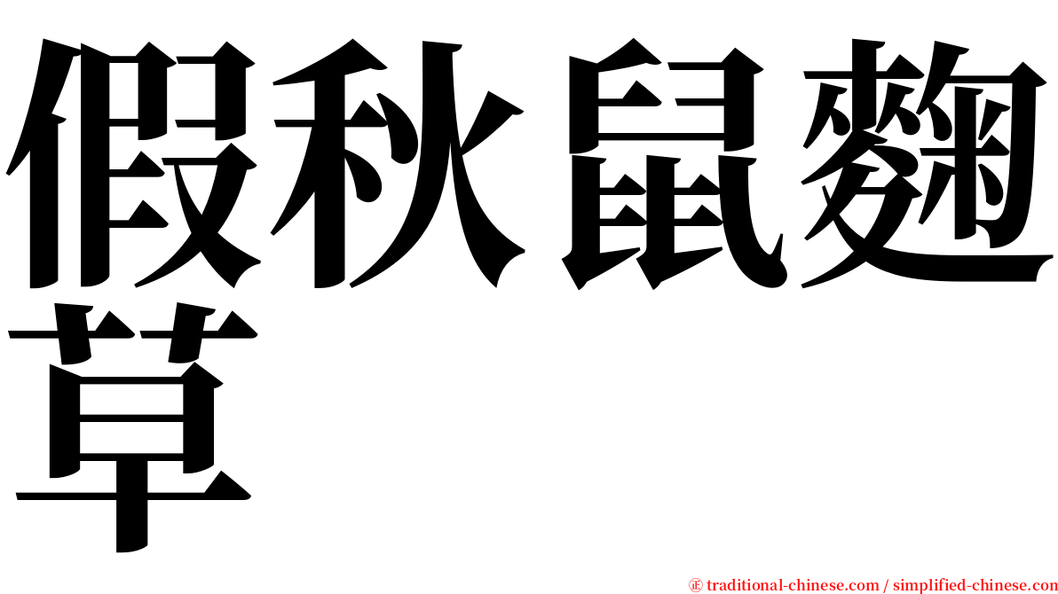 假秋鼠麴草 serif font