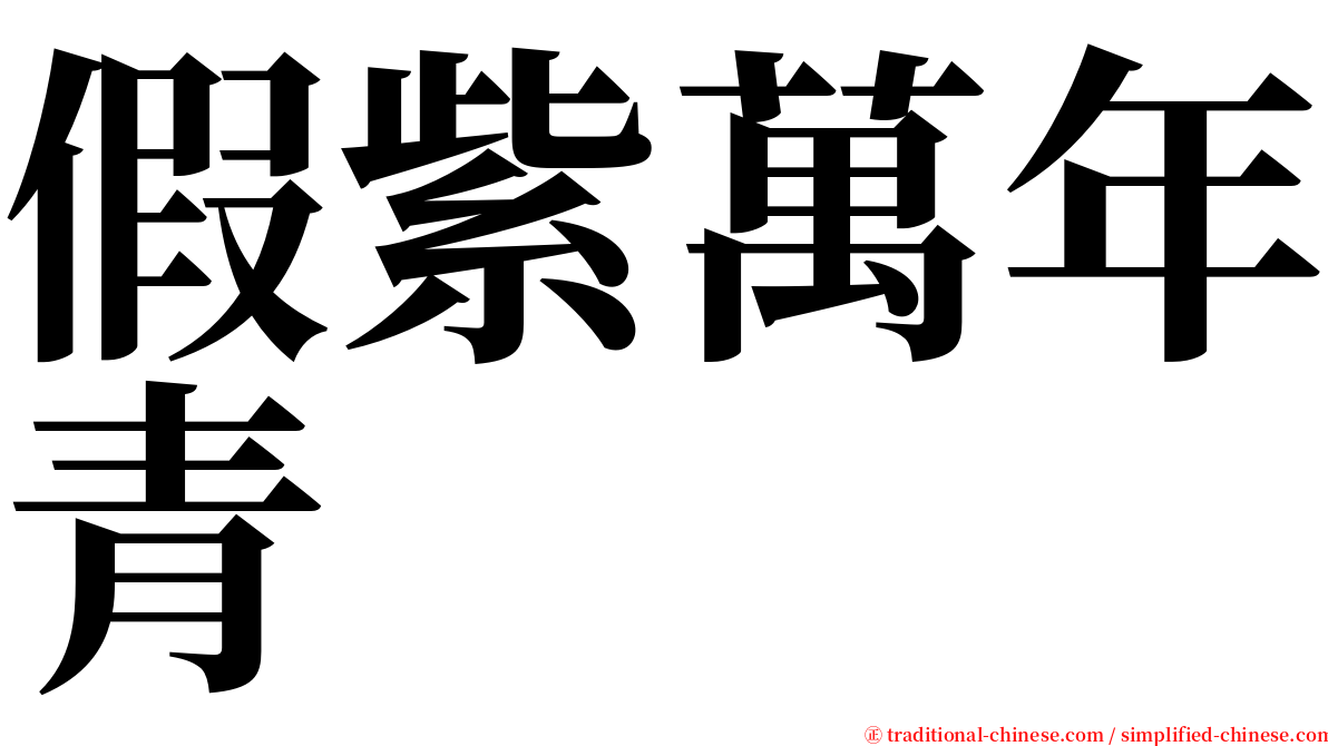 假紫萬年青 serif font