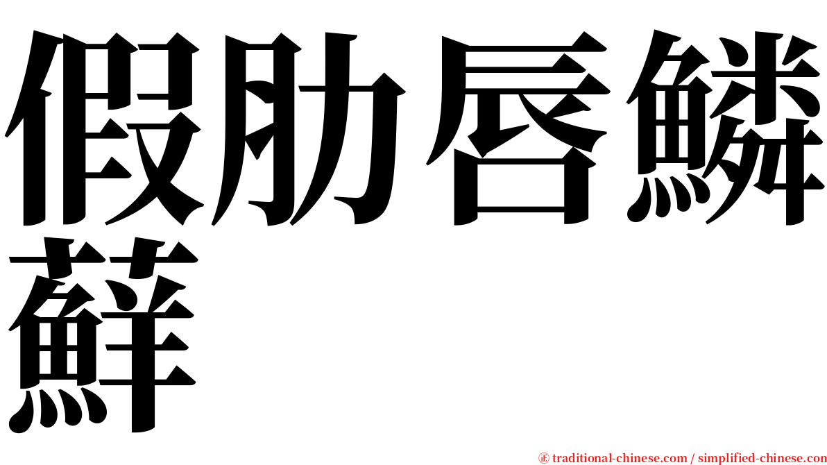 假肋唇鱗蘚 serif font