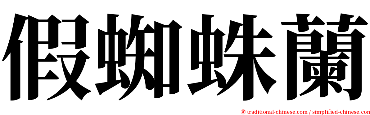 假蜘蛛蘭 serif font