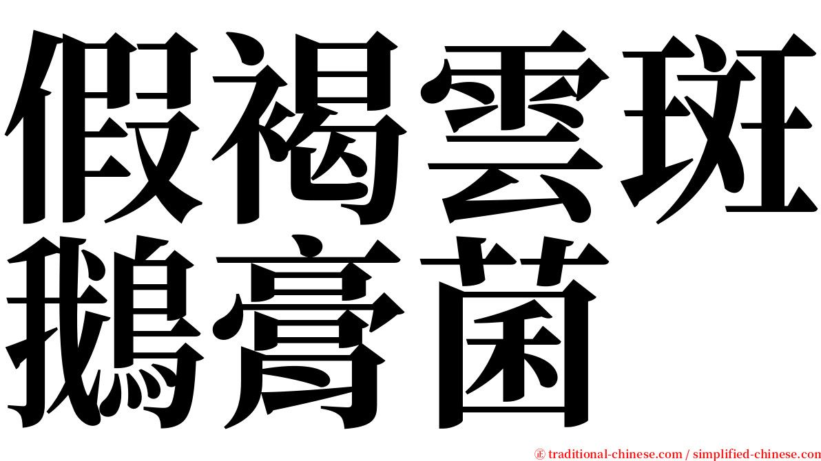 假褐雲斑鵝膏菌 serif font