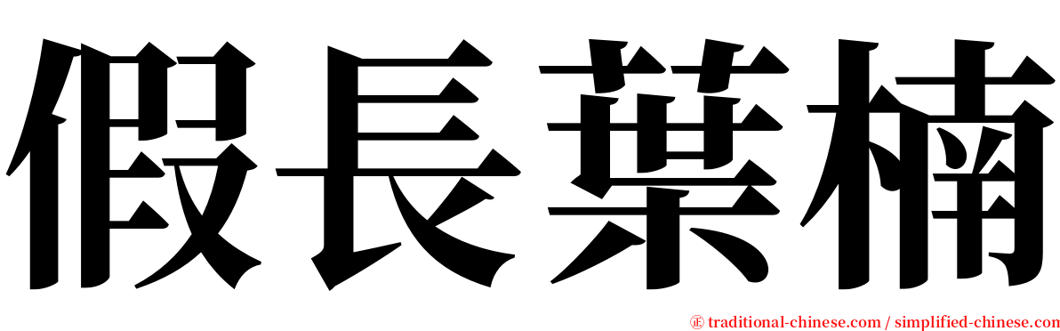 假長葉楠 serif font