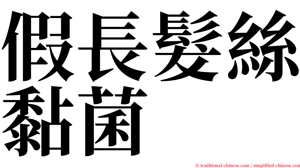假長髮絲黏菌 serif font