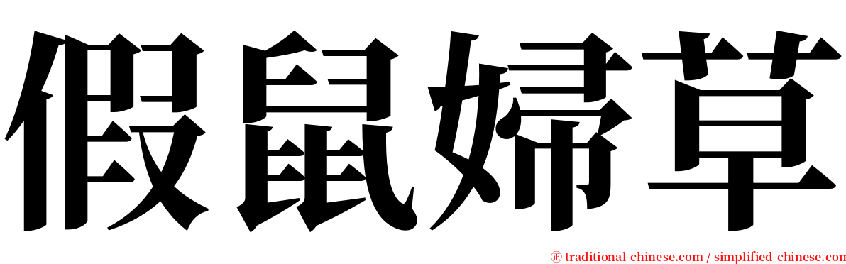 假鼠婦草 serif font