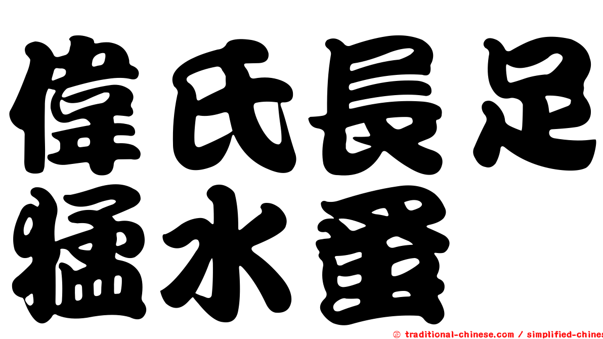 偉氏長足猛水蚤