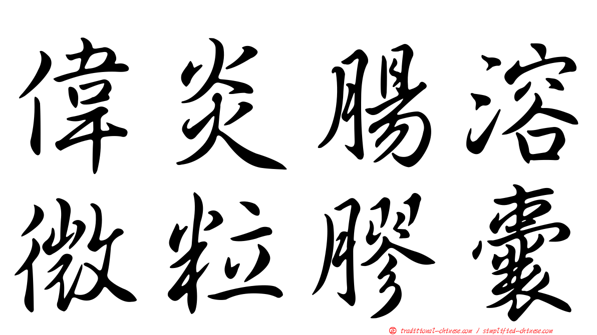偉炎腸溶微粒膠囊