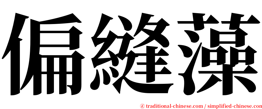 偏縫藻 serif font