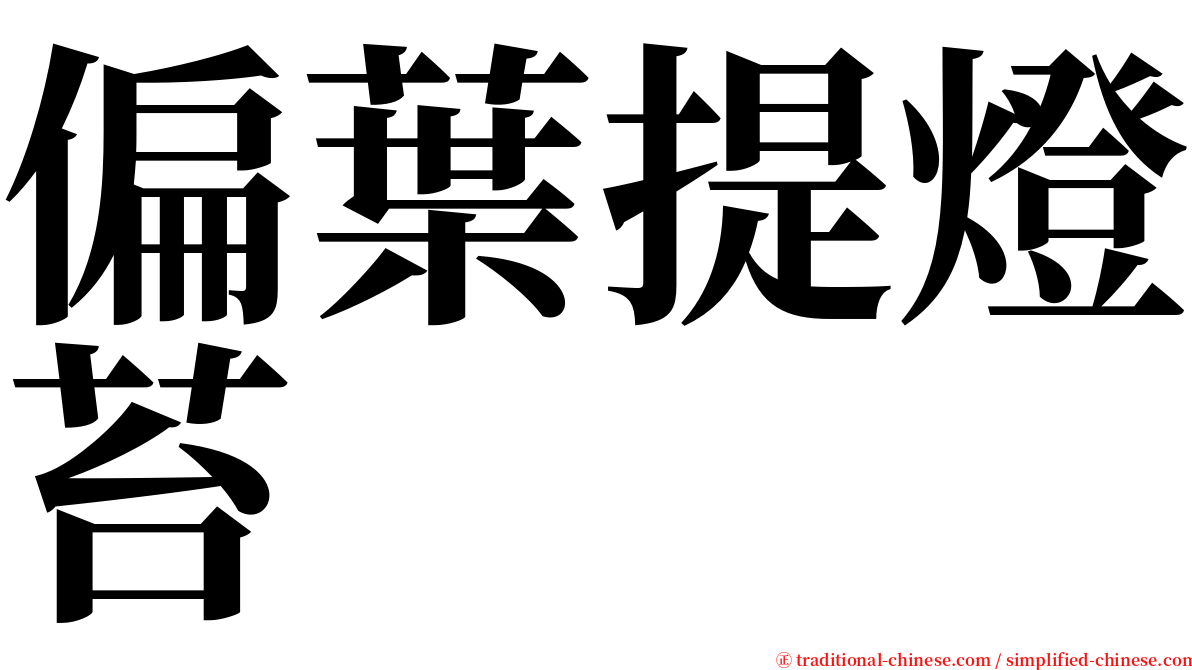 偏葉提燈苔 serif font