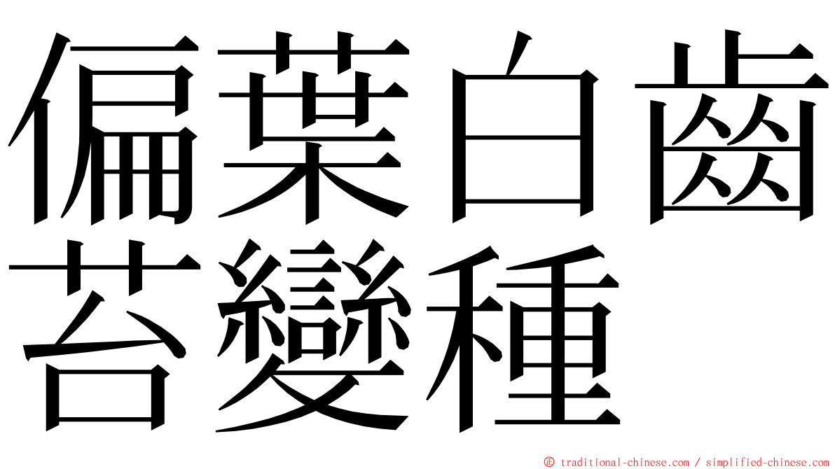 偏葉白齒苔變種 ming font