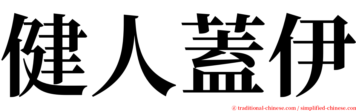 健人蓋伊 serif font