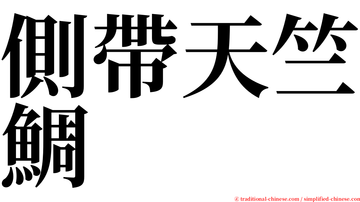 側帶天竺鯛 serif font