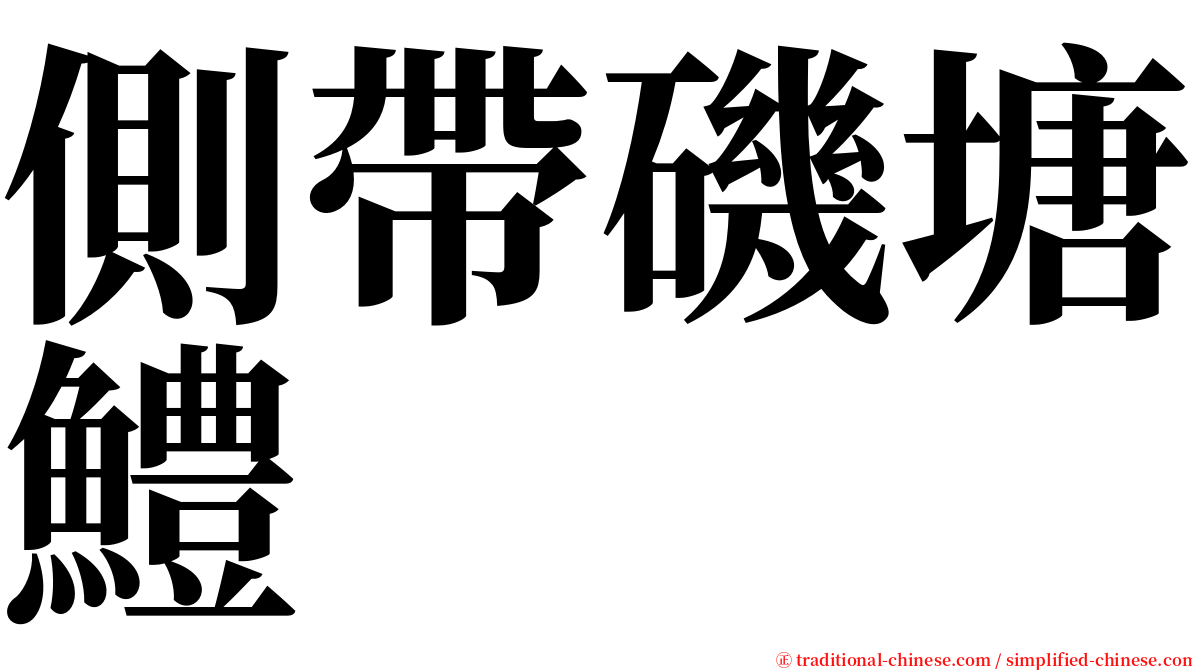 側帶磯塘鱧 serif font