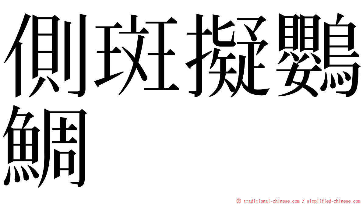 側斑擬鸚鯛 ming font