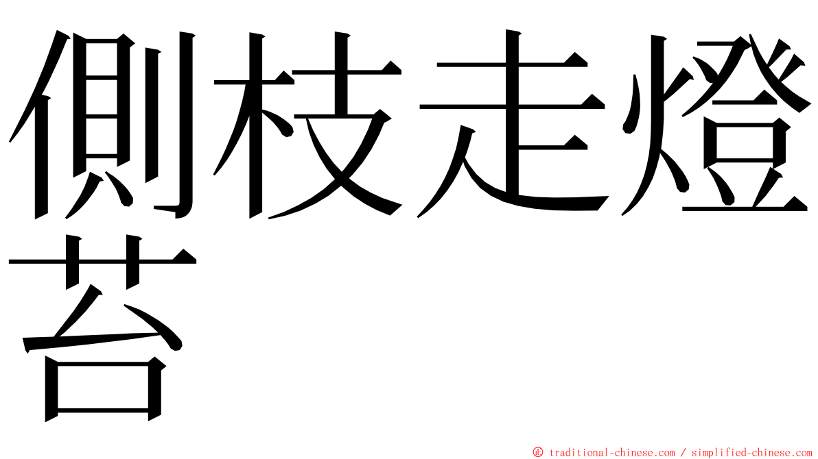 側枝走燈苔 ming font