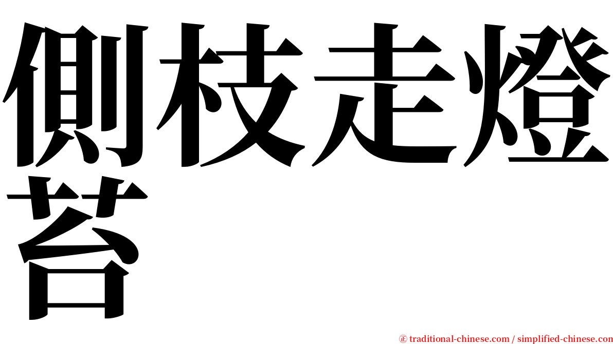 側枝走燈苔 serif font