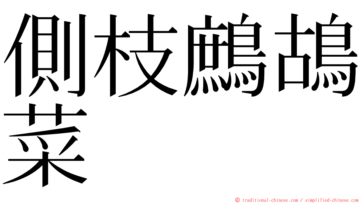 側枝鷓鴣菜 ming font